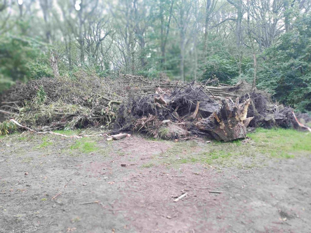 Stille Meeuw 23 maart 2025: hakselen groenafval