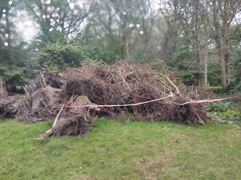 Stille Meeuw 23 maart 2025: hakselen groenafval