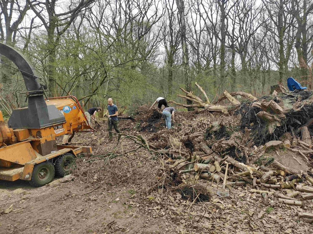 Stille Meeuw 23 maart 2025: hakselen groenafval