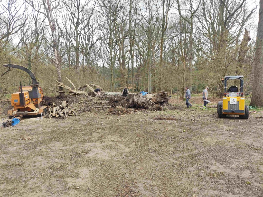 Stille Meeuw 23 maart 2025: hakselen groenafval