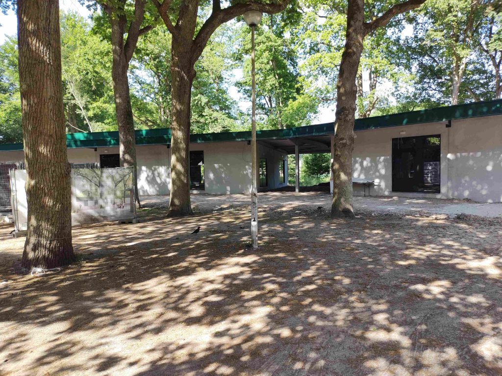 Stille Meeuw 16 mei: werfhekken verwijderd